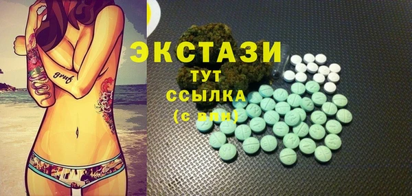хмурый Арсеньев