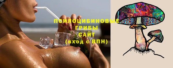 винт Аркадак