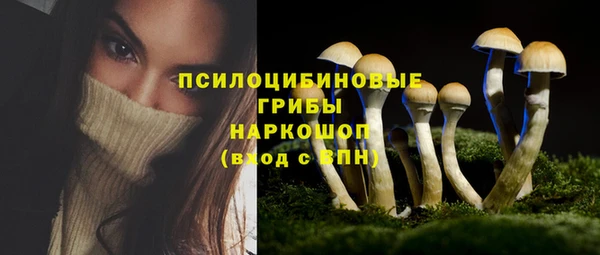 винт Аркадак