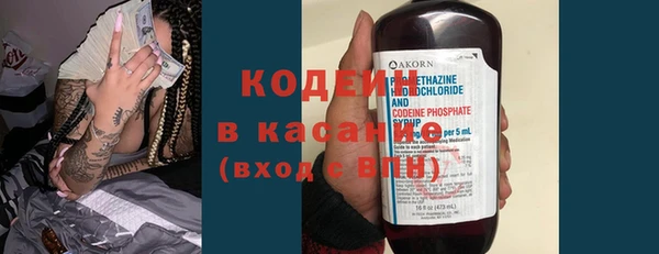 хмурый Арсеньев