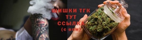 хмурый Арсеньев
