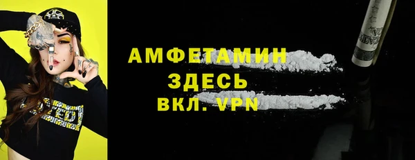 хмурый Арсеньев