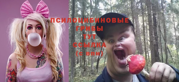 хмурый Арсеньев