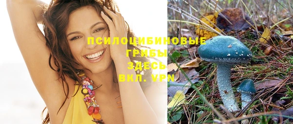 хмурый Арсеньев