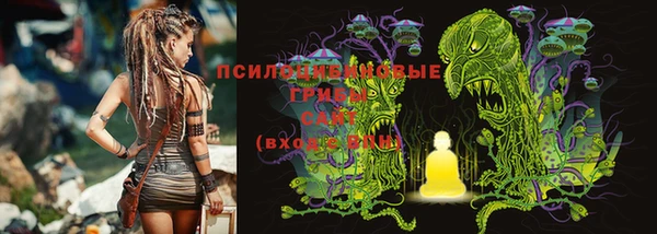 хмурый Арсеньев