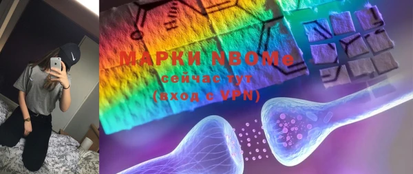 хмурый Арсеньев