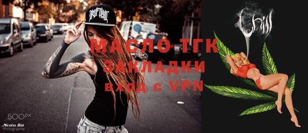 хмурый Арсеньев